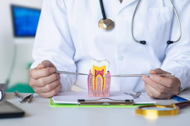 Best Pediatric Emergency Dentist in Jones Creek, TX